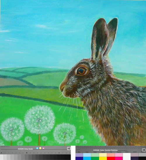 Giclée print with colour calibration strips